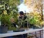 IMG_1750 (1)